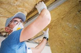 Best Insulation Removal  in Murray, KY