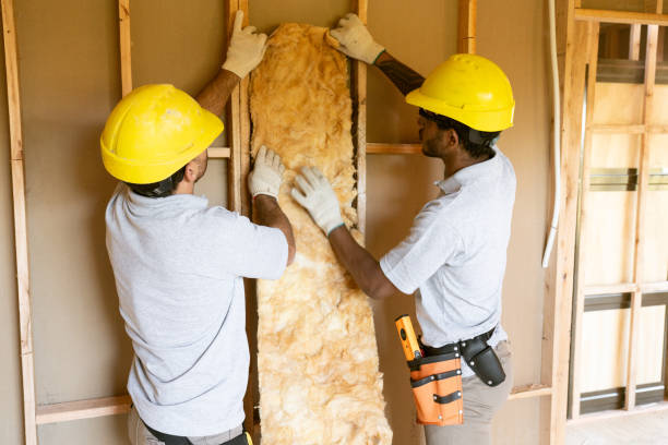 Best Basement Insulation  in Murray, KY