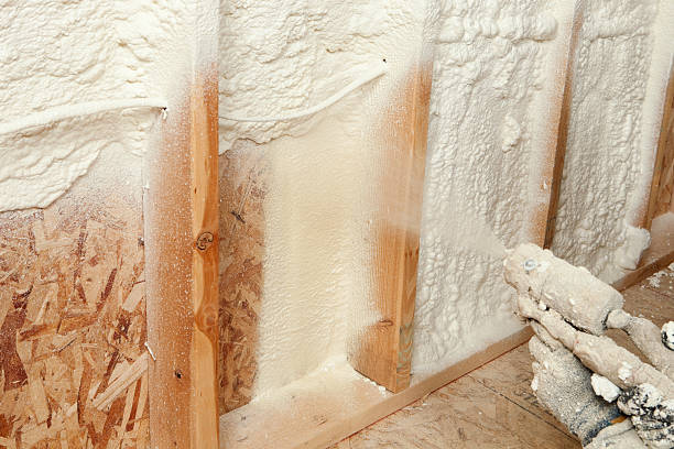 Best Spray Foam Insulation  in Murray, KY